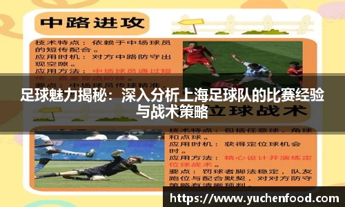 足球魅力揭秘：深入分析上海足球队的比赛经验与战术策略
